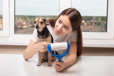 Honden die het minst verharen